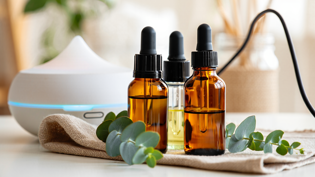 Best Diffuser Oils in 2026: Long-Lasting Essential Oil Blends