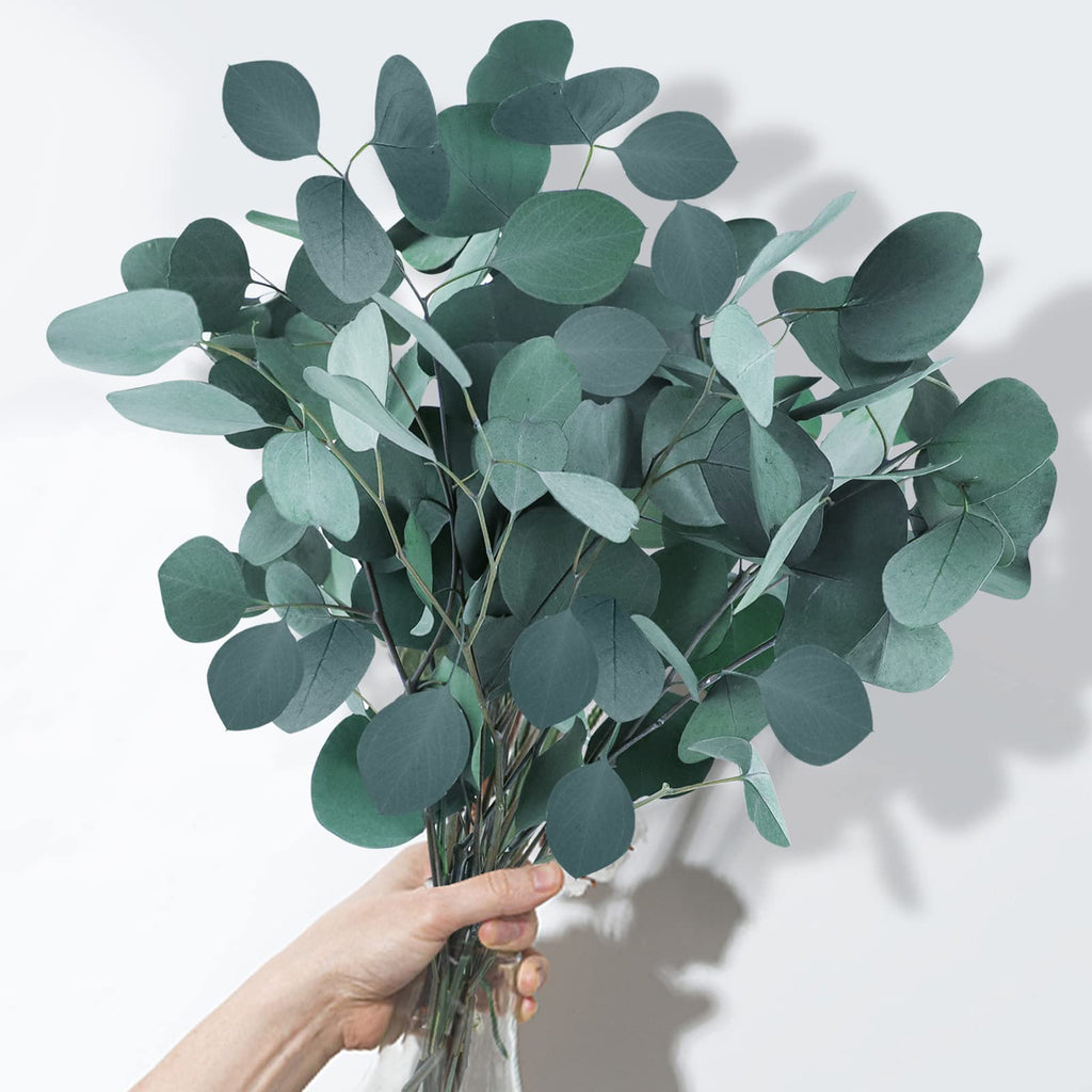 White Eucalyptus Reed Diffuser – Moon Water Apothecary