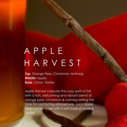 Apple Harvest Soy Candle by Grand Candles