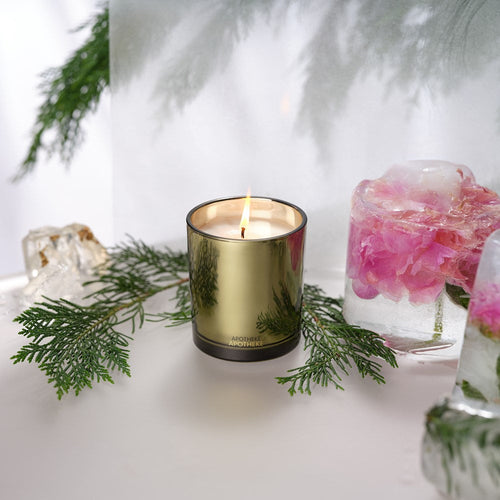 Black Cypress Classic Candle 10.5 oz by APOTHEKE