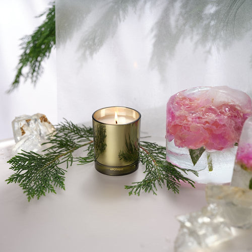 Black Cypress Petite Candle by APOTHEKE | 5 oz Luxury Soy Candle