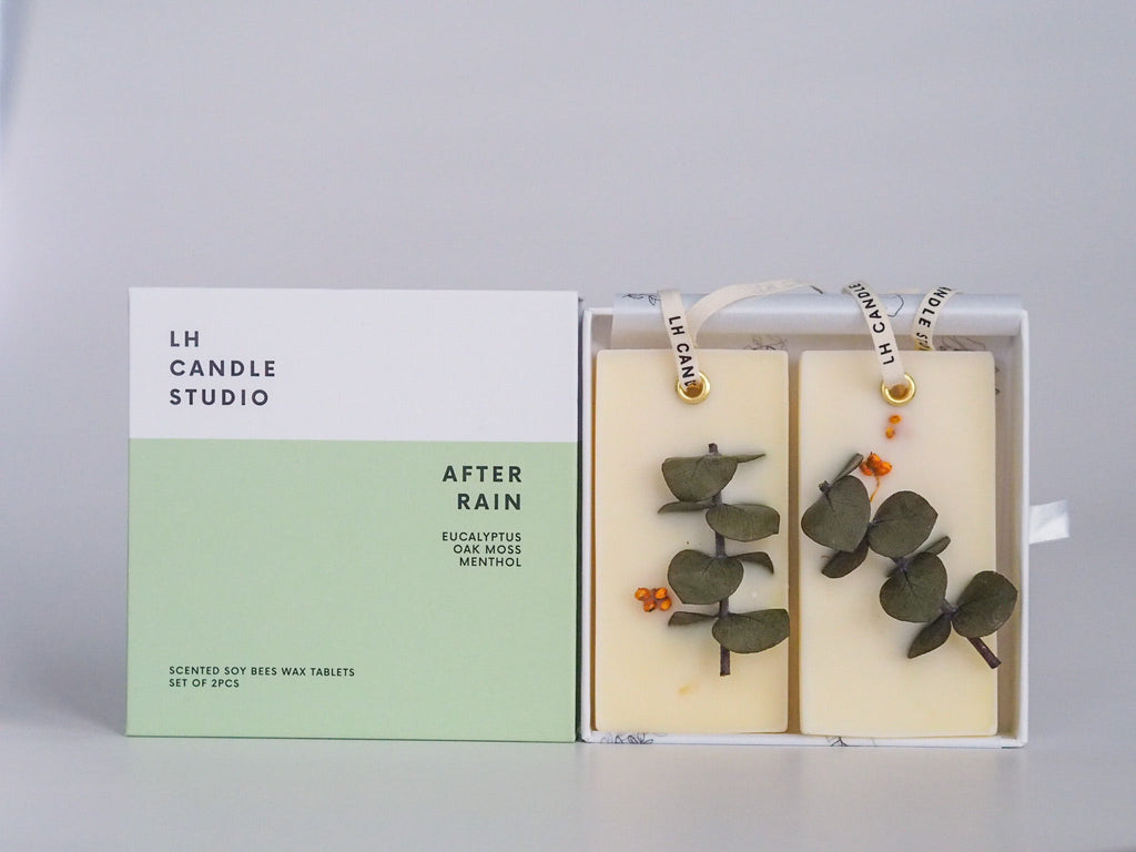 Scented Wax Tablets - After rain (set of 2)