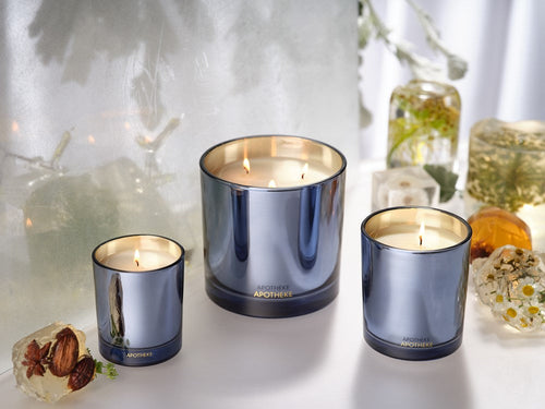 APOTHEKE Cardamom Chestnut Classic Candle – 10.5 oz Seasonal Soy Candle