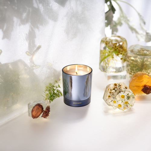 APOTHEKE Cardamom Chestnut Petite Candle – 5 oz Soy Wax