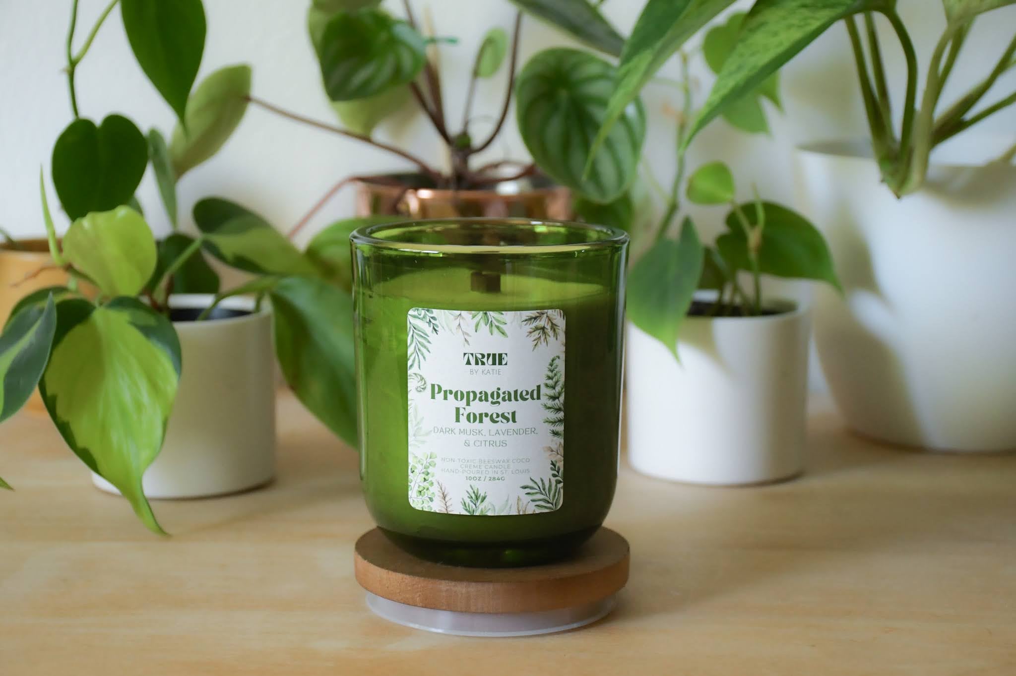 Propagated Forest Candle