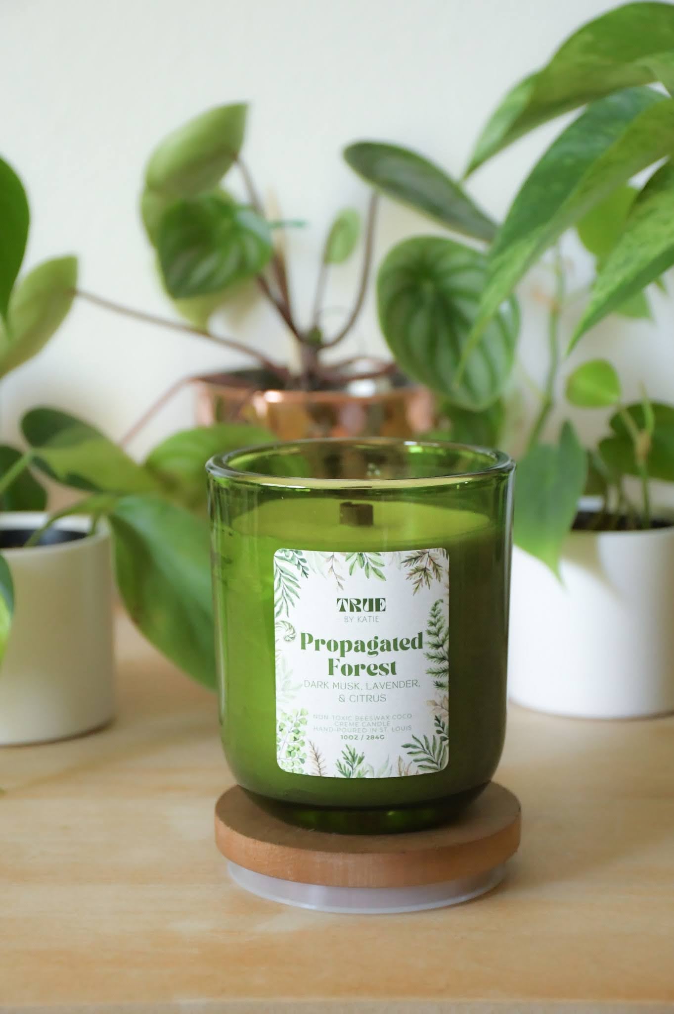 Propagated Forest Candle