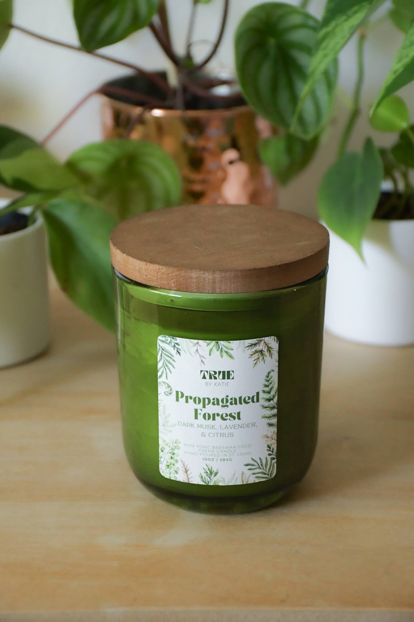 Propagated Forest Candle