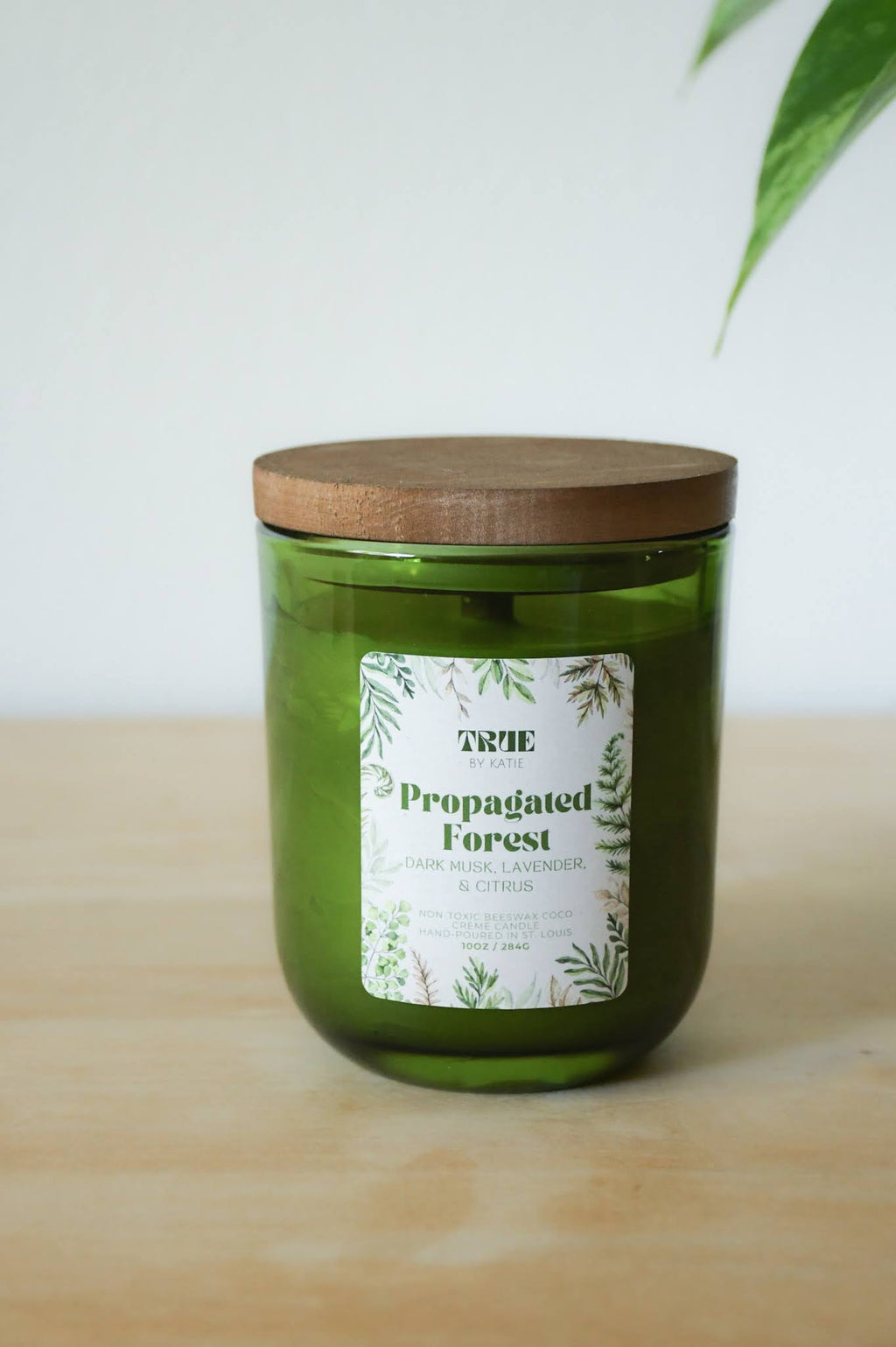 Propagated Forest Candle