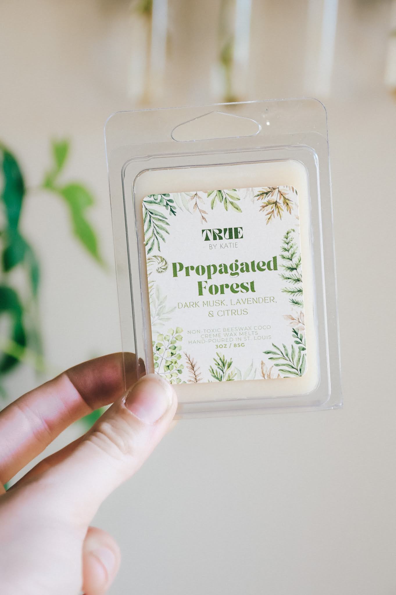 Propagated Forest Wax Melts