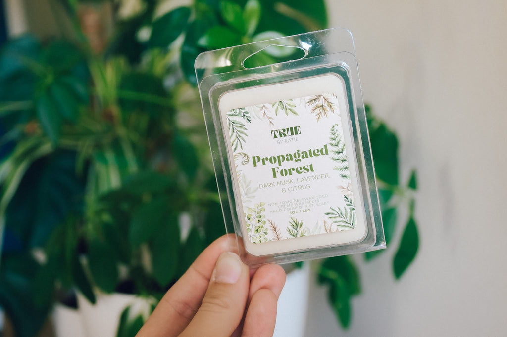 Propagated Forest Wax Melts