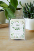 Propagated Forest Wax Melts 3oz by True by Katie | Non-Toxic Soy Blend