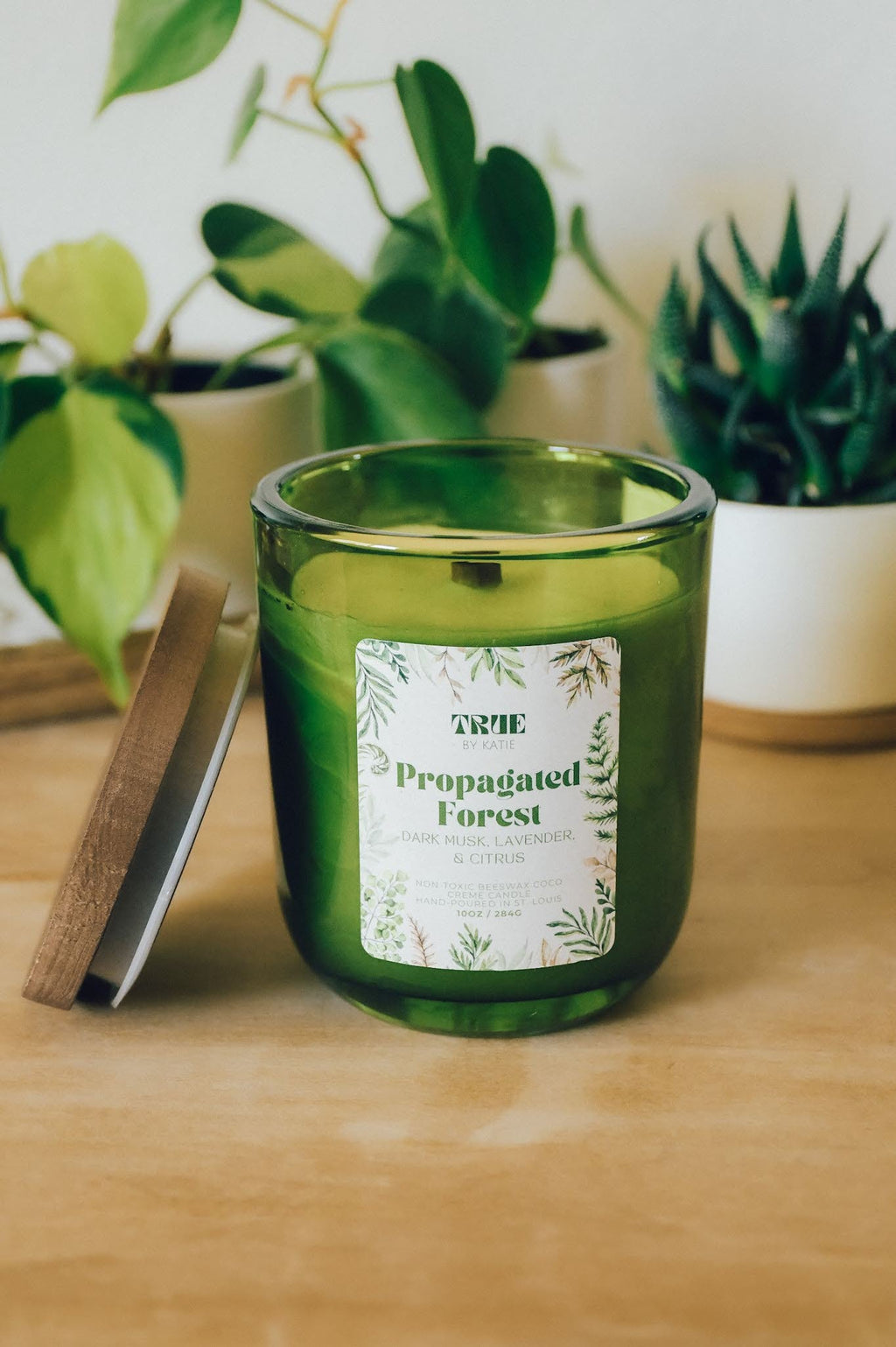 Propagated Forest Candle