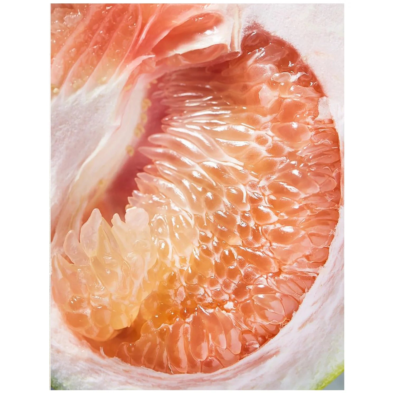 Fresh Grapefruit Fragrance Oil by Scent New York