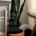 Forest Fog Room & Linen Spray
