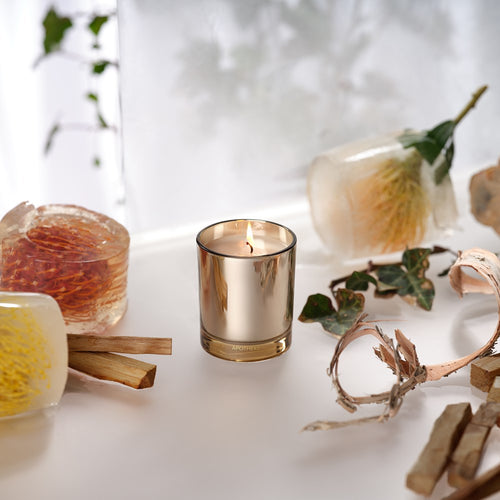 APOTHEKE Firewood Petite Candle – 5 oz Soy Wax