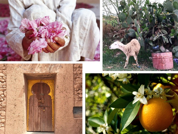 Aerangis No. 26 Lost in the Souk Candle – Moroccan Rose & Neroli 8 oz