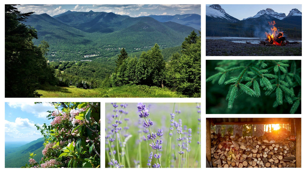 No. 32 Loon Mountain Scented Candle by Aerangis | 8 oz Bespoke Collection