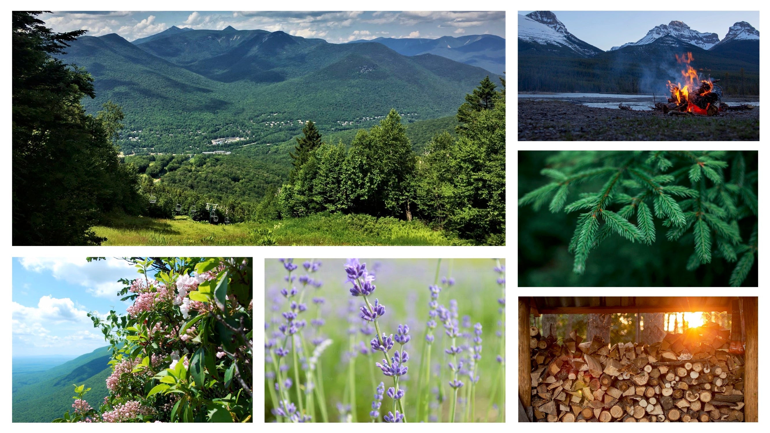 No. 32 Loon Mountain Scented Candle by Aerangis | 8 oz Bespoke Collection