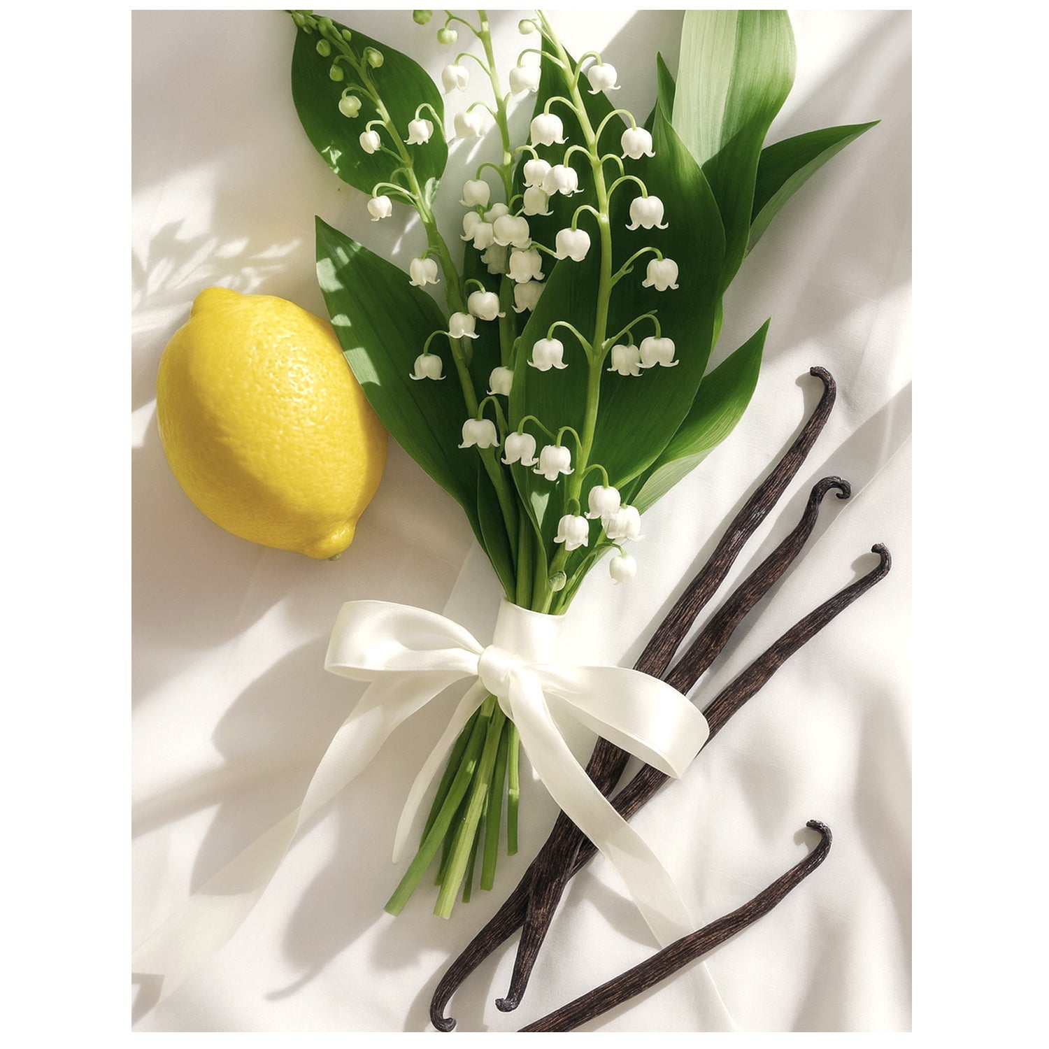 Continental Fragrance Oil by Scent New York
