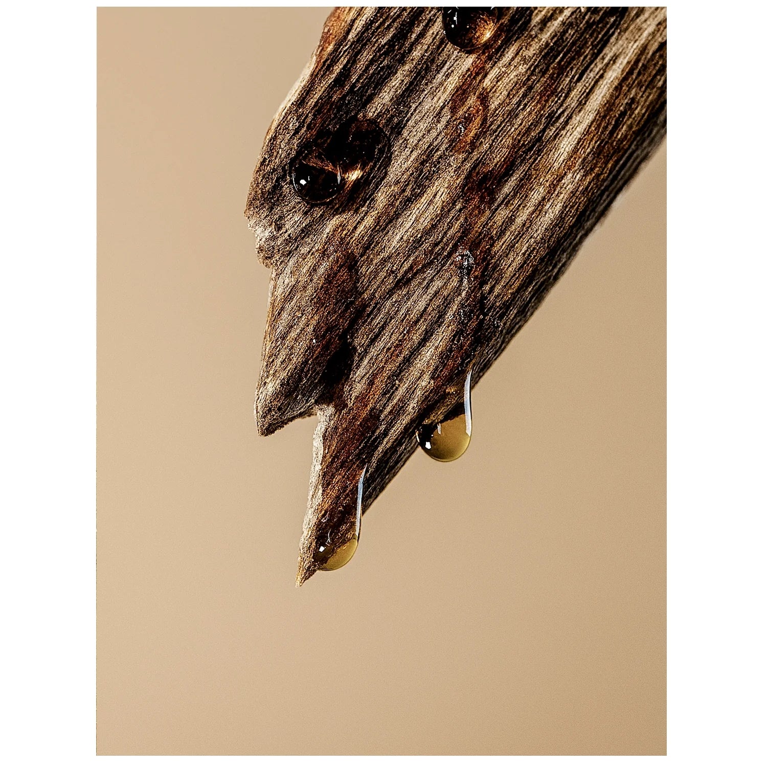 Sandalwood Fragrance Oil by Scent New York