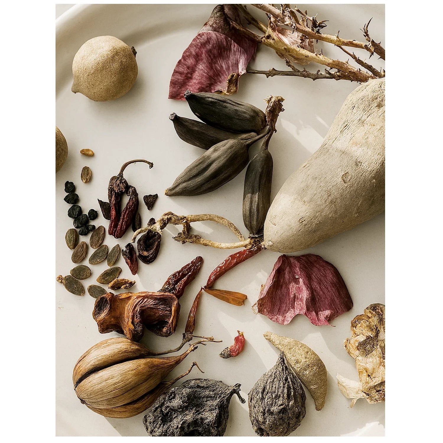 Santal & Spice by Scent New York – Sandalwood, Cardamom & Sage Home Fragrance