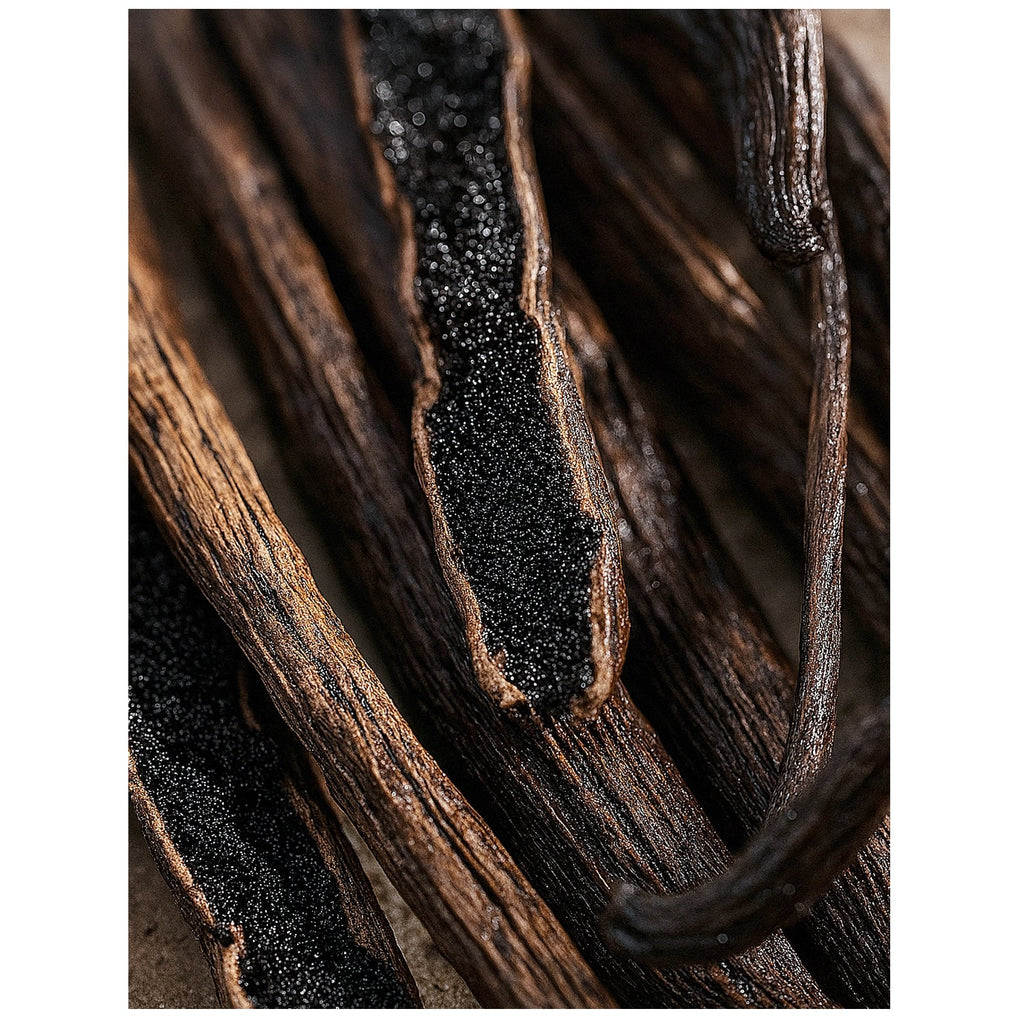 Vanilla Bean Fragrance Oil by Scent New York