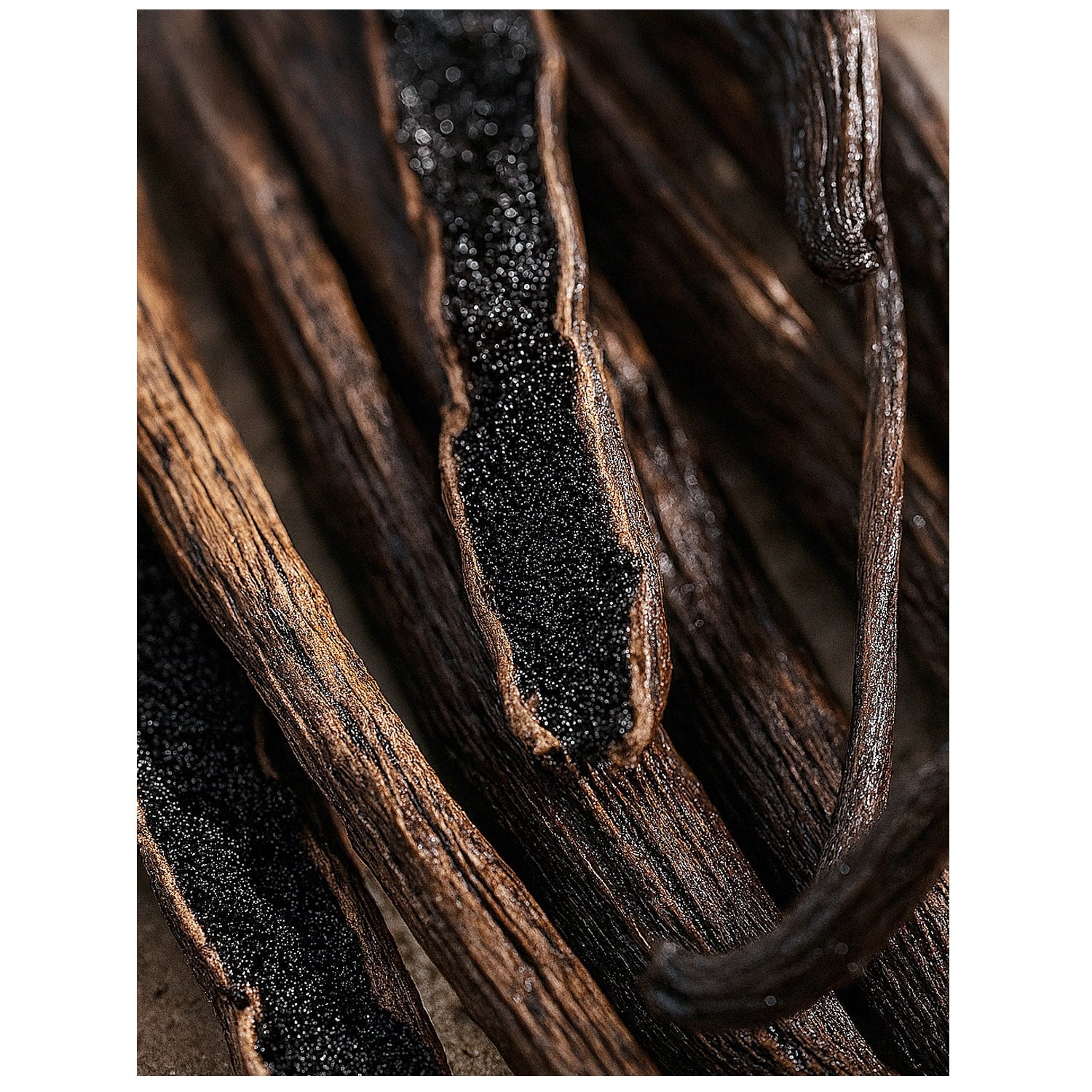 Vanilla Bean Fragrance Oil by Scent New York