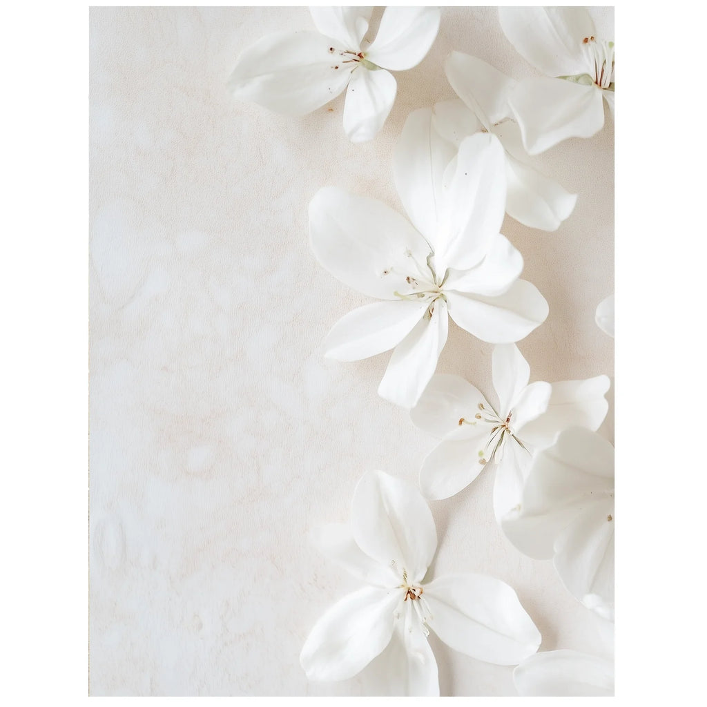 White Flower Fragrance Oil by Scent New York