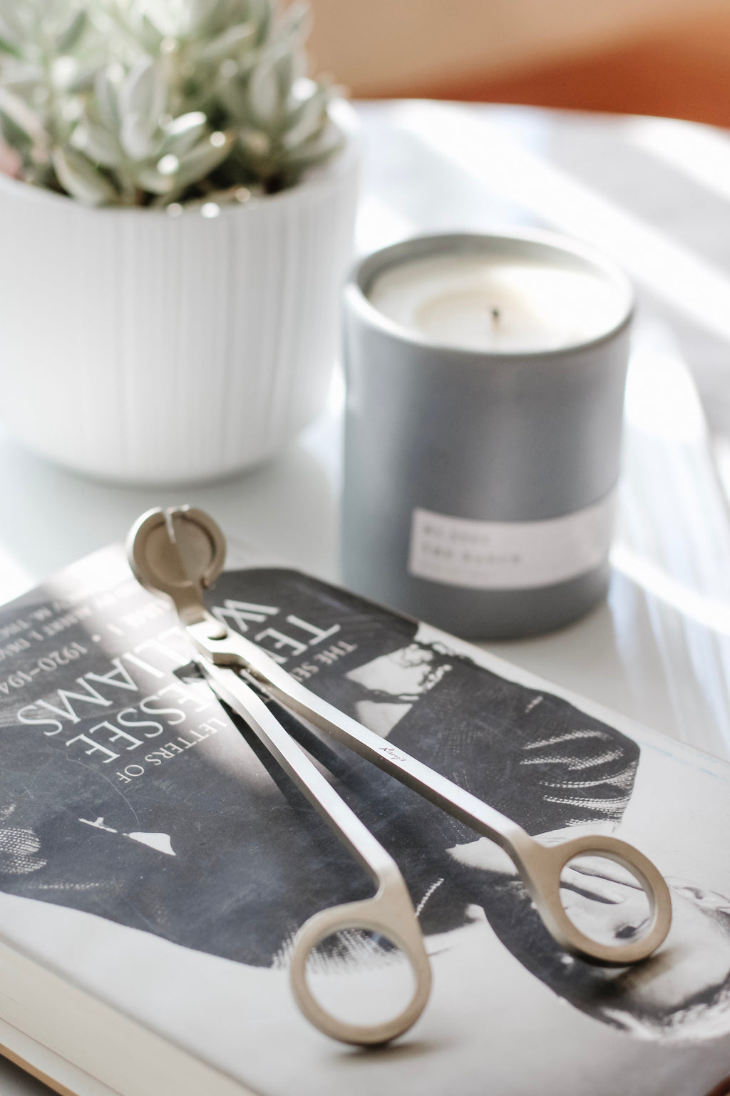 Aerangis Candle Wick Trimmer – Stainless Steel Candle Care Tool