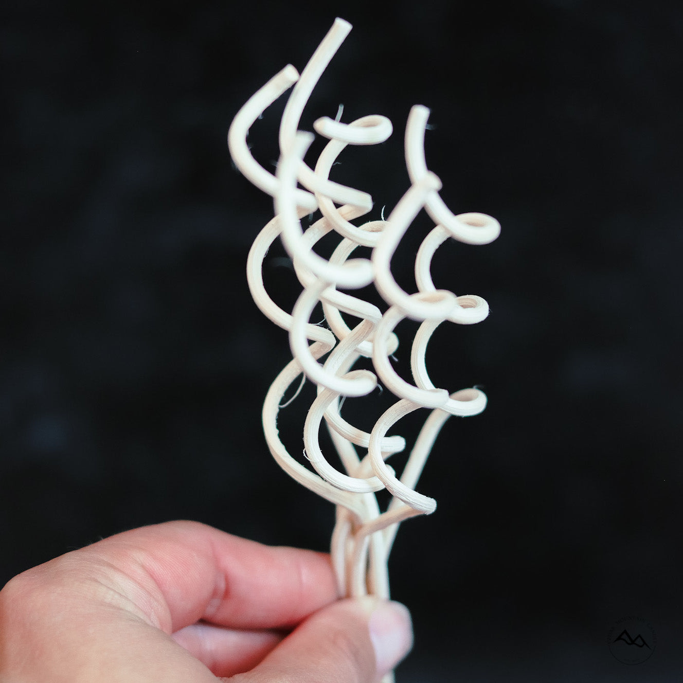 Fraser & Fir Needle Reed Diffuser